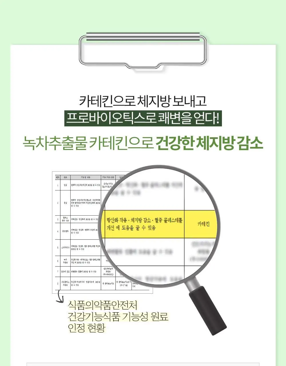 [체지방 감소] 그린몬스터 다이어트 녹차카테킨+ 28정 (2주분) 상세페이지 10